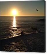 Absolutely Amazing Sunset In Pismo Canvas Print