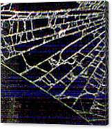 Abstract - Arachnid View Canvas Print