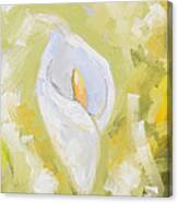 Abstract Calla Lily Canvas Print