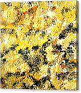 Abstract Eternity Gold Rush 1 Canvas Print