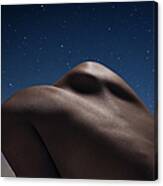 Abstract Female Back At Night Canvas Print