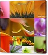 Abstract Fine Art Flower Photography Canvas Print