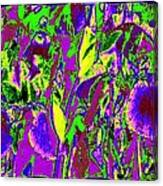 Abstract Irises Canvas Print