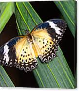 Butterfly On Leaves Canvas Print