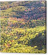 Acadia National Park - Cadillac Mountain- Fall Folige- Maine Canvas Print