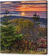 Acadia National Park Sunrise Canvas Print