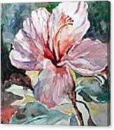 Accented Hibiscus Canvas Print