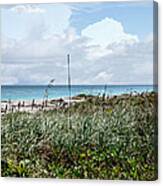 Across The Dunes At Hobe Sound Canvas Print