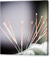 Acupuncture Needles Canvas Print