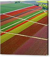 Aerial View Of Colorful Tulip Fields Canvas Print