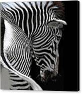 African Stripes Ii Canvas Print