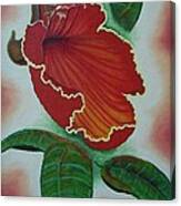 African  Tulip Tree Canvas Print