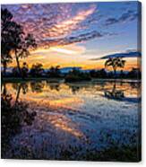 After The Rains Canvas Print