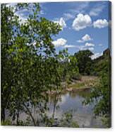 Afternoon By The Stream Canvas Print