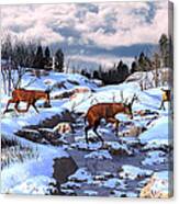 Against The Winter Chill Canvas Print