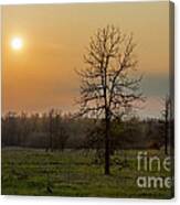 Aided By Fire Canvas Print