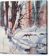Alaska Birch Ii Canvas Print