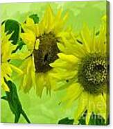 Alaskan Sunflowers Canvas Print