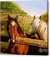 Alberta Horse Farm Canvas Print