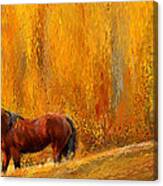 Alone In Grandeur- Bay Horse Paintings Canvas Print