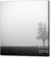 Alone In The Fog - Bw Canvas Print