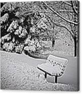 Alone In The Park.... Canvas Print