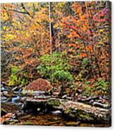 Along Fall Creek Canvas Print