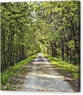 Along The Katy Trail Canvas Print