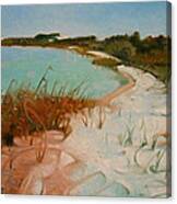 Along The Shore Canvas Print