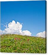 Alpine Meadow And Cloud Formation Canvas Print
