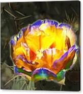Altered Yellow Prickly Pear Flower Canvas Print