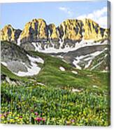 American Basin Wildflowers Canvas Print