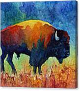 American Buffalo Ii Canvas Print