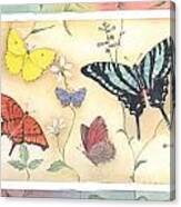 American Butterflies Ii Canvas Print