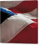 American Flag Painting Canvas Print