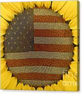 American Sunflower Canvas Print