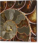 Ammolite Canvas Print