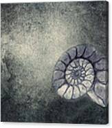 Ammonit Canvas Print