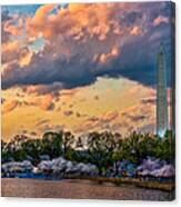 An Evening In Dc Canvas Print