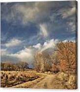 An Evening Walk Canvas Print