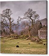 Ancient Countryside Canvas Print