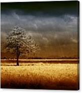 And The Rains Came Canvas Print