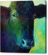 Animals - Cows- Black Cow Canvas Print