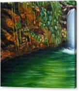 Annadale Waterfall Canvas Print