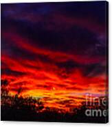 Another Tucson Sunset Canvas Print