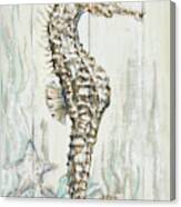 Antique Sea Horse I Canvas Print