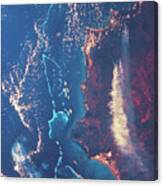 Apollo 7 Spacecraft Photograph Of A Forest Fire Canvas Print