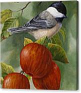 Apple Chickadee Greeting Card 2 Canvas Print