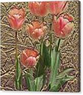 Apricot Tulips Canvas Print