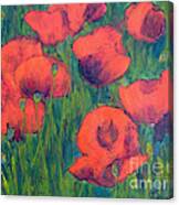 April Poppies 2 Canvas Print